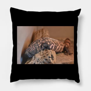 Gila Monster Pillow