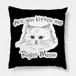 Are you kitten me right meow Gift Saint Valentin 2021 NOW Pillow