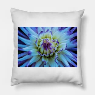 Dahlia Star Pillow