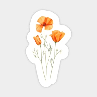 California orange poppies painting Magnet