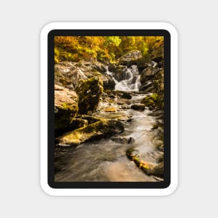 Autumn in a Lake District beck Magnet