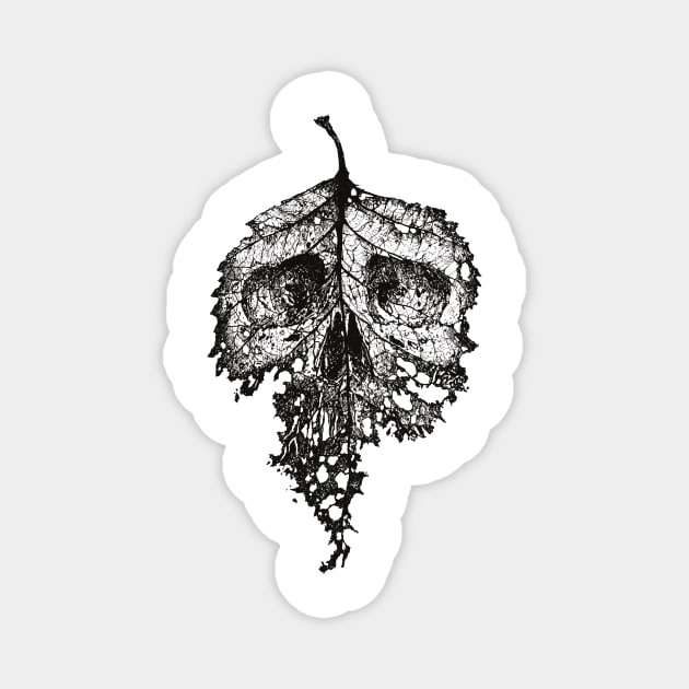 Dead Leaf Magnet by Moutchy