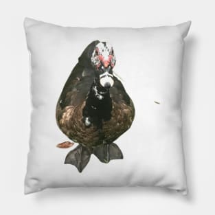 Love Duck Pillow