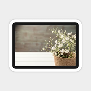 A bouquet of gypsophila flowers Magnet