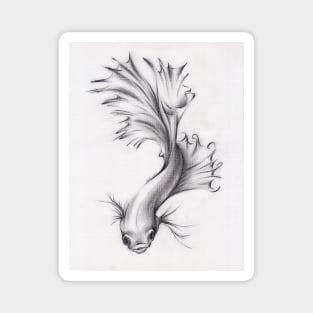 Lady of the Lake - Charcoal Pencil Drawing of a Siamese/Betta Fighting Fish Magnet