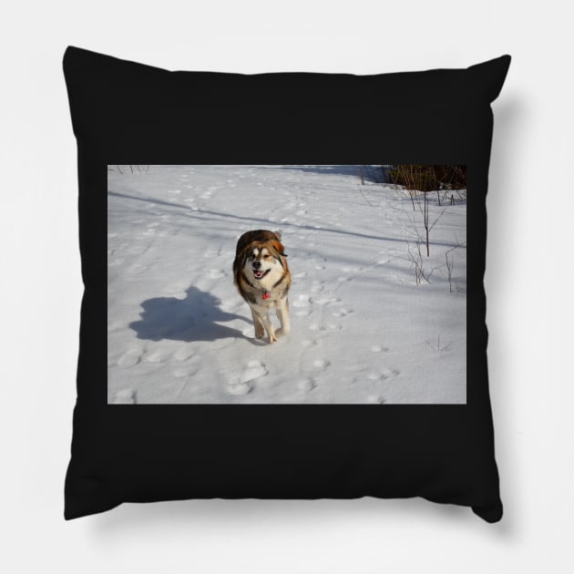 Running Free Pillow by rconyard