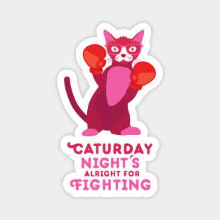 Caturday Night's Alright for Fighting Magnet