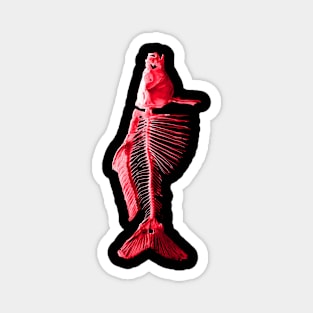 Fish Red Magnet