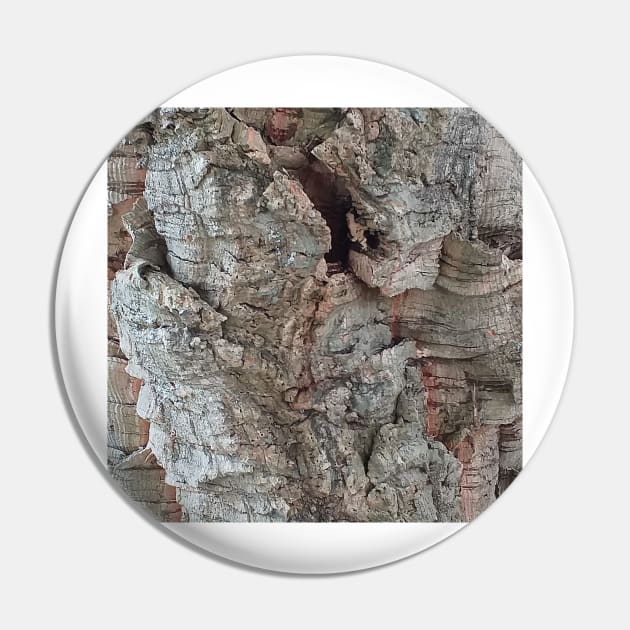 Cork Oak Tree Bark Texture 4 Pin by oknoki