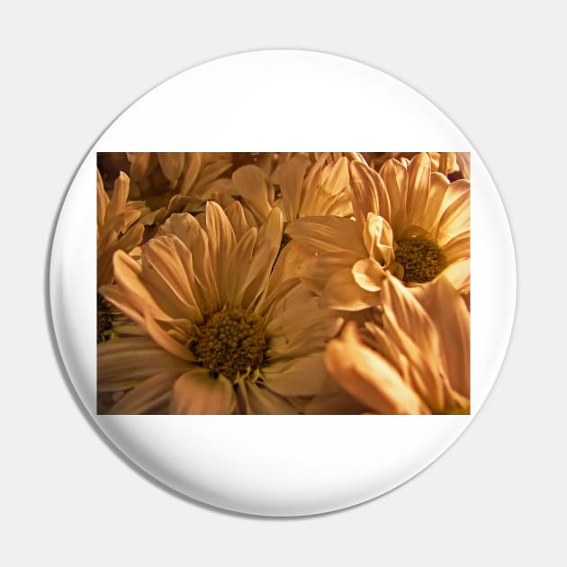 White Flowers Pin by jswolfphoto