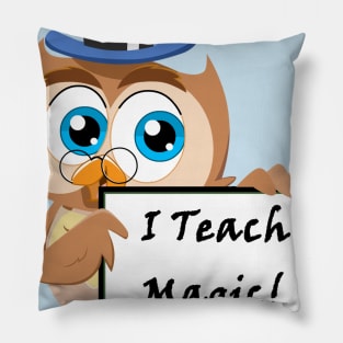 Teach Magic Pillow