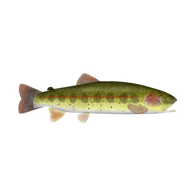 Redband Trout by FishFolkArt