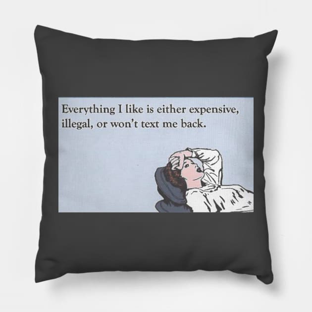 "Everything I Like Is Either Expensive, Illegal, Or Won't Call Me Back" - The Ultimate Dilemma Gifts Galore! Pillow by My Dad's Still Punk