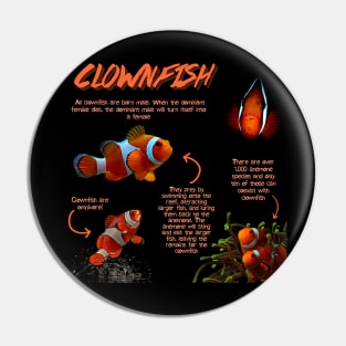 Clownfish Fun Facts Pin