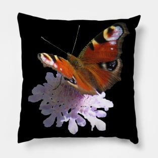 trendy with a beautiful flower, butterfly, peacock Pillow