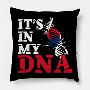 It's in my DNA - South Korea Pillow