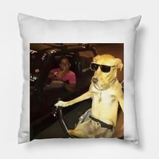 Cool ass dog Pillow