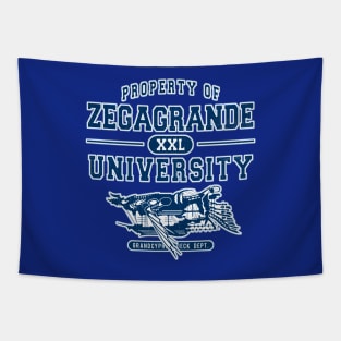 Zegagrande University Tapestry