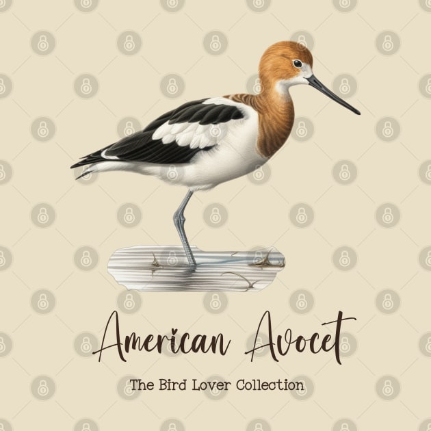 American Avocet - The Bird Lover Collection by goodoldvintage