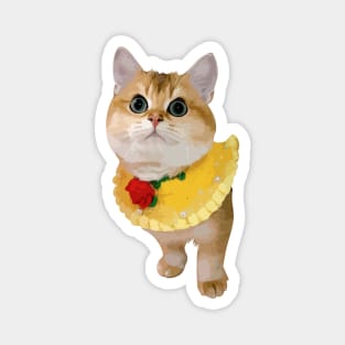 Cute face cat orange Magnet