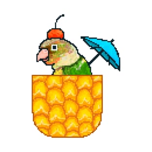 Pineapple Conure with Pineapple and Cherry T-Shirt