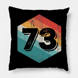 Vintage 1973 Retro Legendary, Birthday Pillow