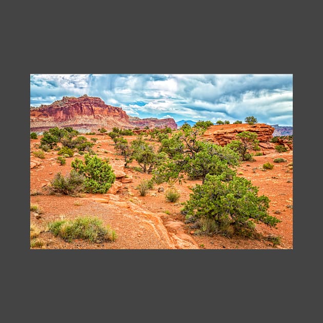 Capitol Reef National Park by Gestalt Imagery