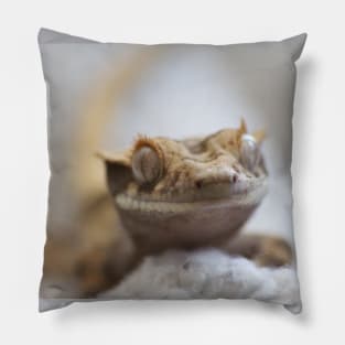 Crested gecko Pillow