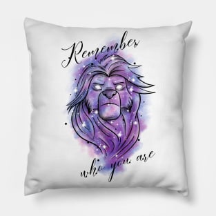 Remember Pillow