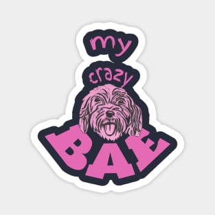 My Crazy BAE! Cockapoo love Magnet