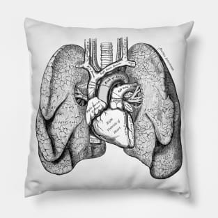 Human Body - Lungs Pillow