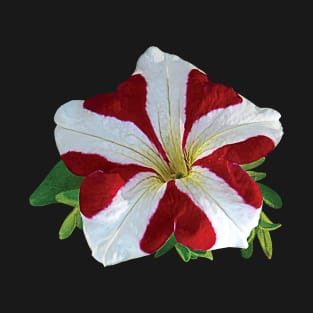 Petunias - Red and White Petunia T-Shirt