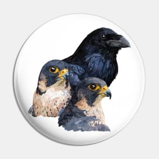 Raven and Falcons Pin