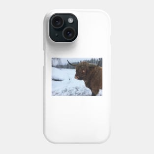 Scottish Highland Cattle Bull 2208 Phone Case