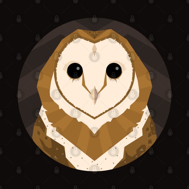 Barn Owl by Locomon