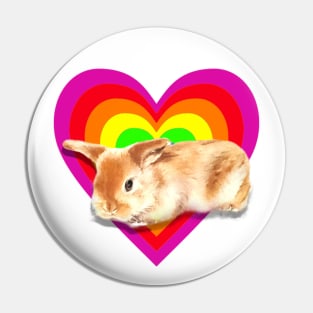 Gorgeous baby satin mini lop in a heart design! Pin