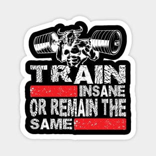 Train Insane or Remain The Same Tshirt Tees Tanktop and Gifts Items Magnet