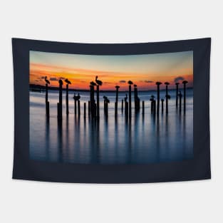 Pelican Silhouettes at Sunset Tapestry