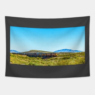 Union Pacific Freight Train in New Mexico Tapestry