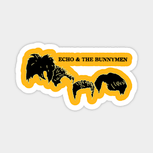 echo and the bunnymen face Magnet