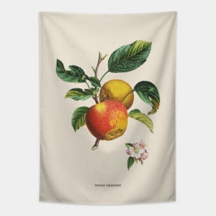 Apple Antique Botanical Illustration Tapestry