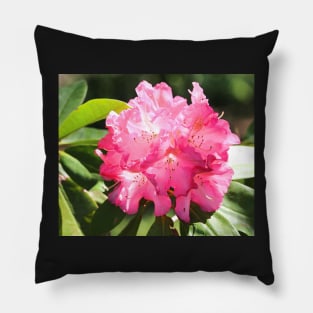 Pretty Rhododendron Pillow