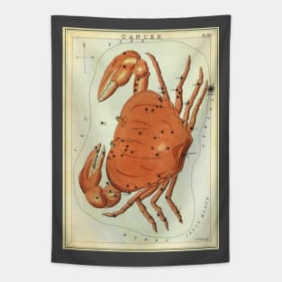 Cancer the Crab, from Urania's Mirror, Vintage Signs of the Zodiac Tapestry