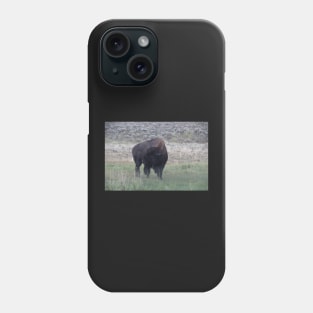 Bison in the rain Phone Case