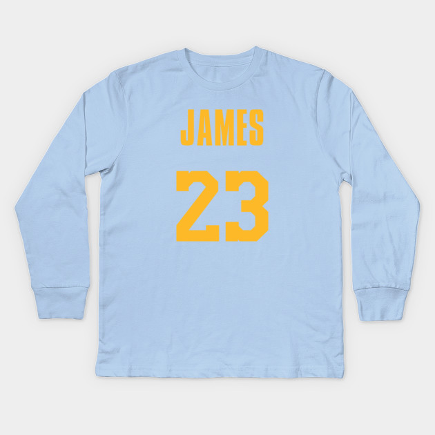 mpls lakers lebron jersey