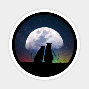 Cute cat and dog - best friends watching moon and cosmos Magnet