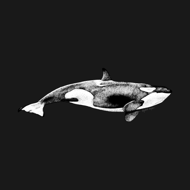 Orca Whale by Elizabeth Weglein Art