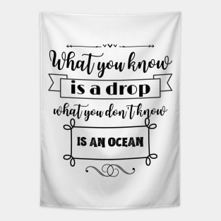 What you know is a drop what you dont know is an ocean Tapestry