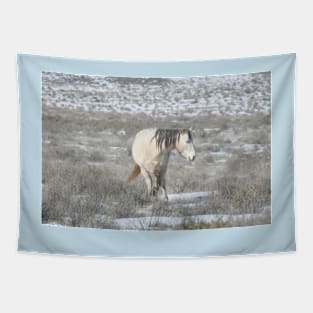 Wild horses, Arizona, nature, wildlife, gifts Tapestry