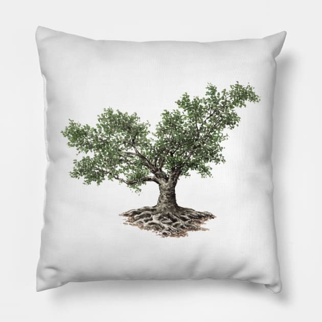 May birthday fig tree Pillow by birthflower